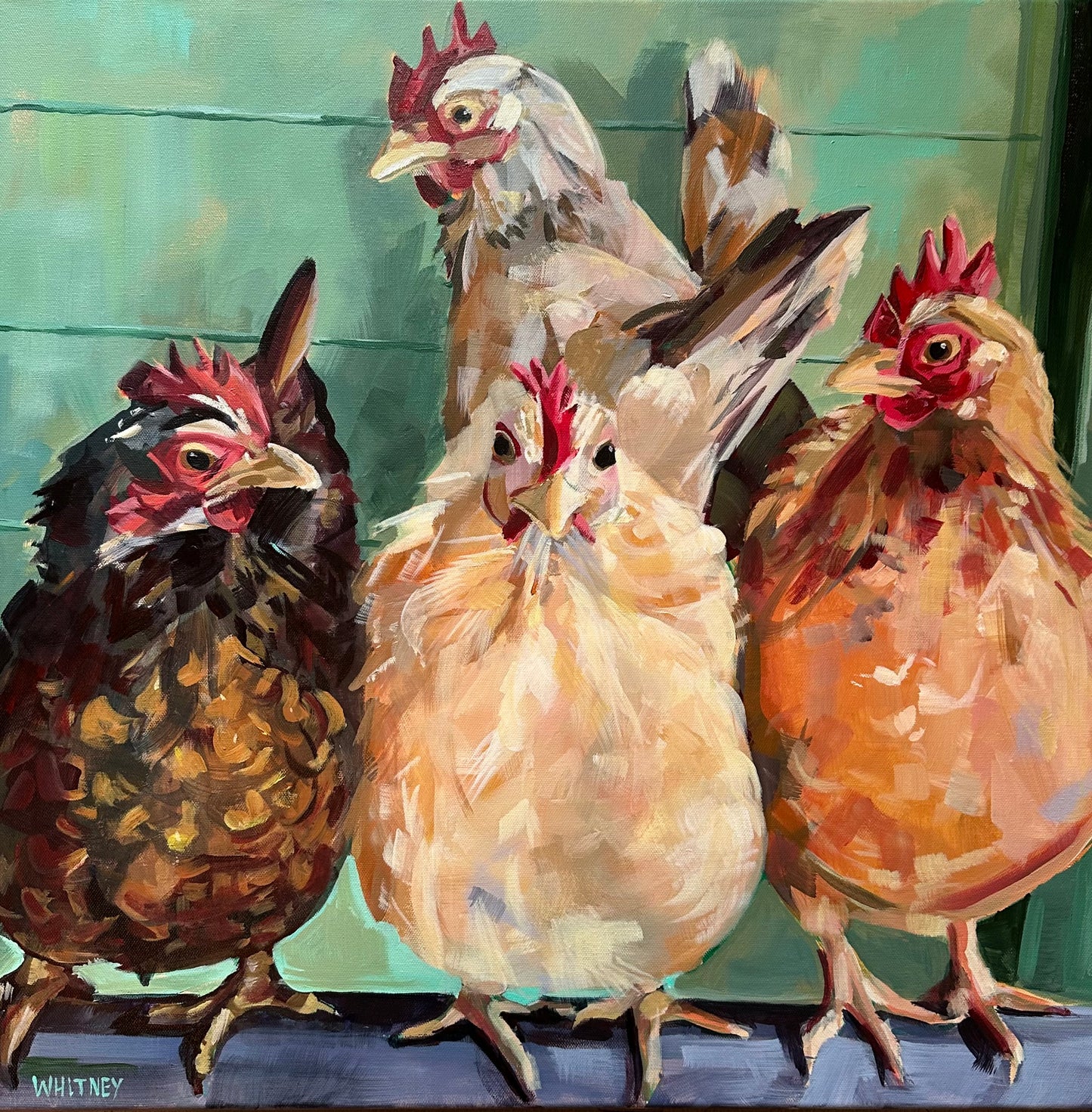 Flock Together 24x24”