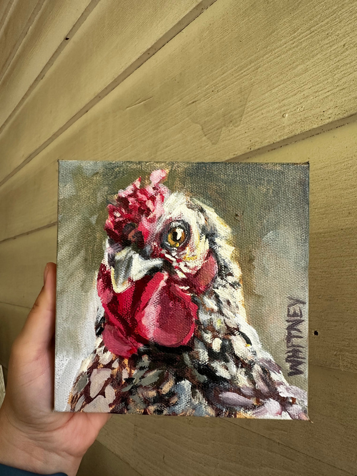 Odette 6x6”