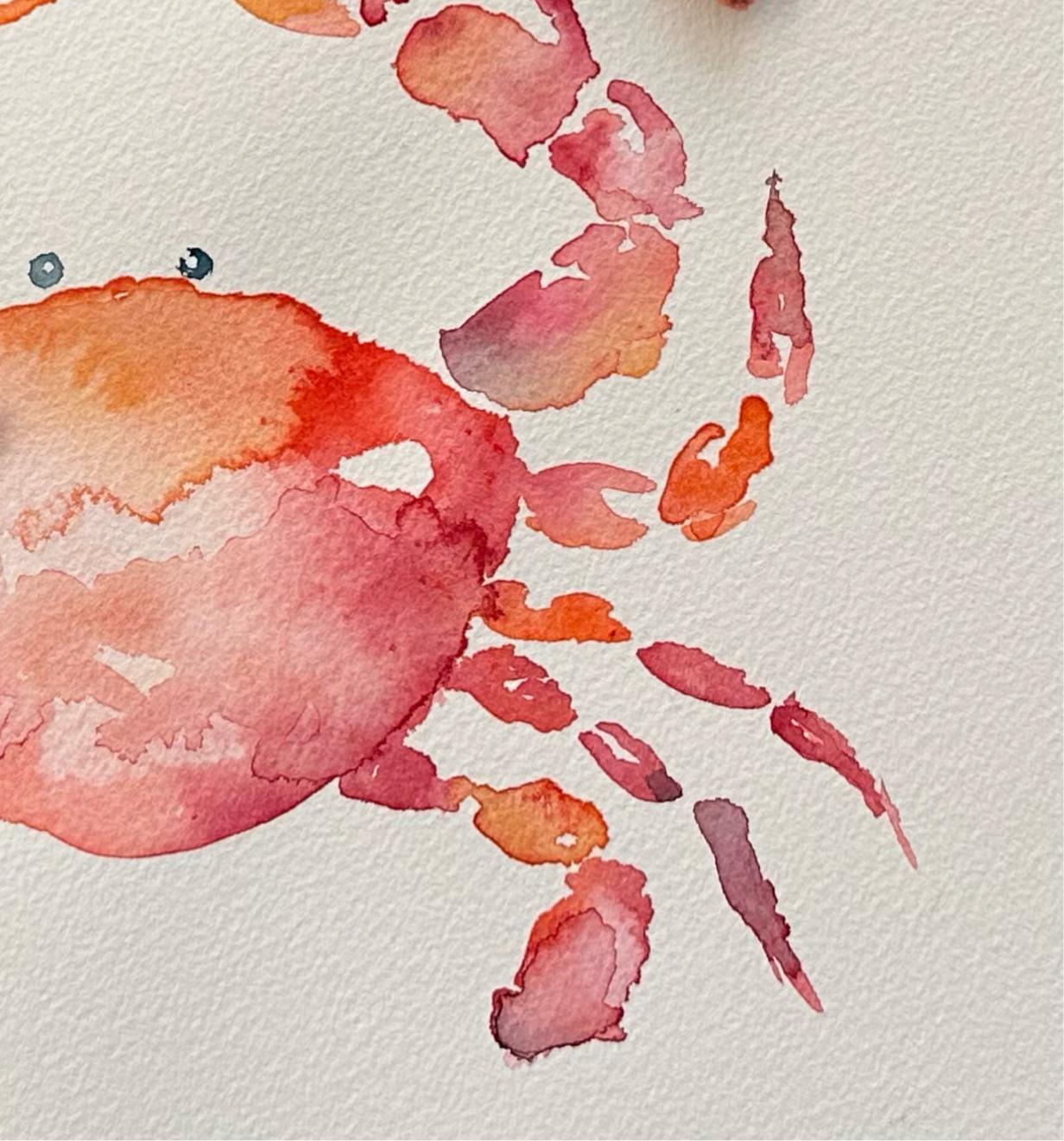 Fresh caught crab Print