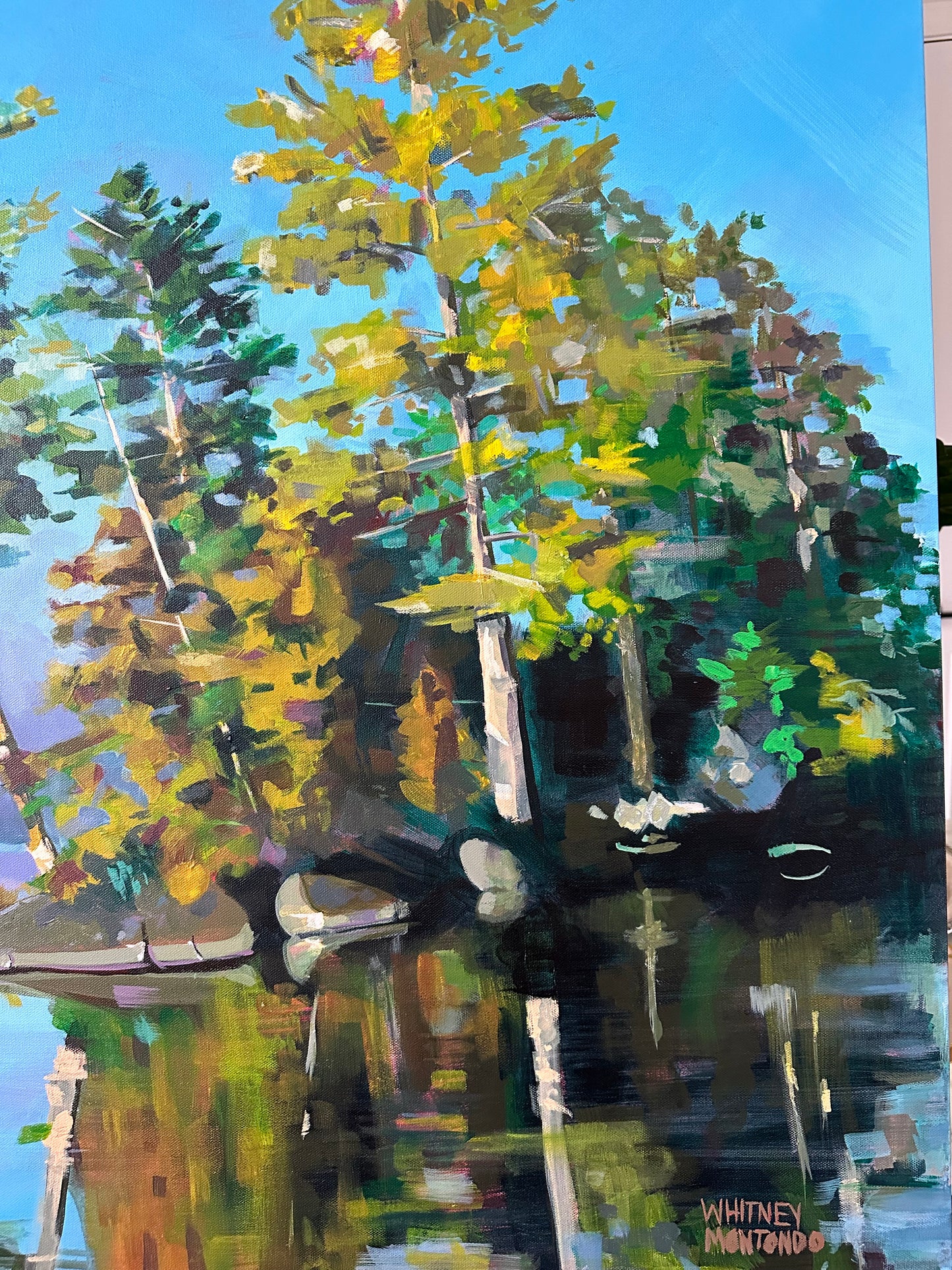 Wisconsin Northwoods Lake