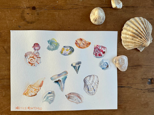 Cherry Grove Beach Shell Study - 12”x9”