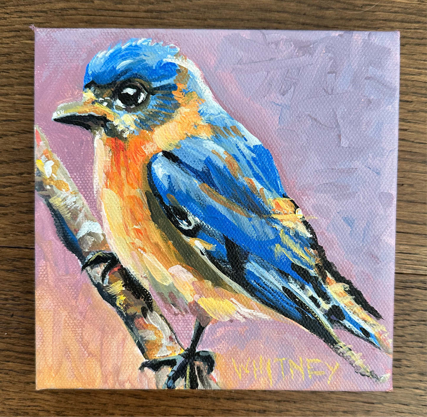 Blue Visitor 6x6