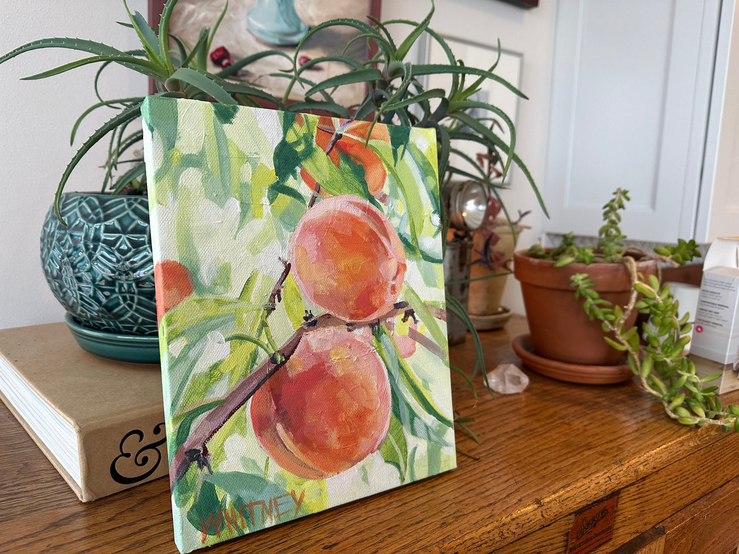 Sun Drenched - 8x10”