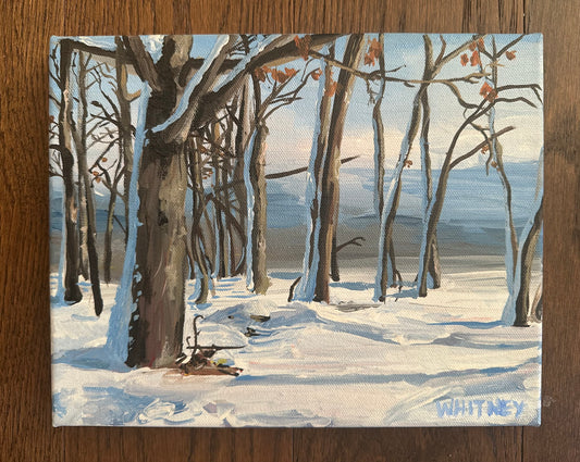 Snow Day 8x10”