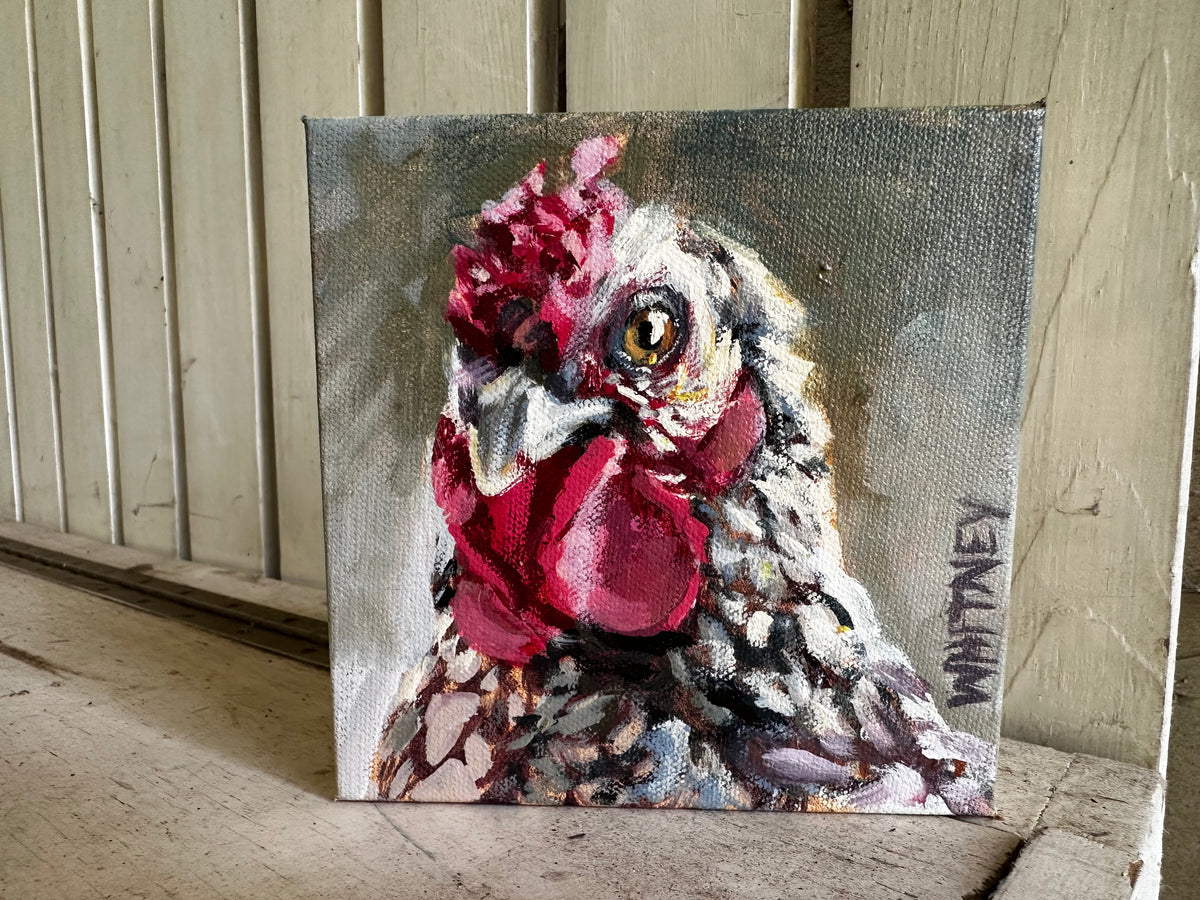 Odette 6x6”