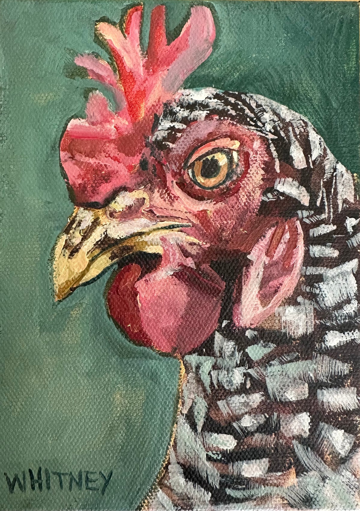 Theo 7x5”