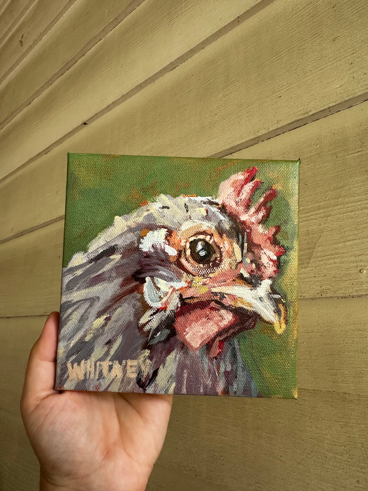Phyllis- 6x6”