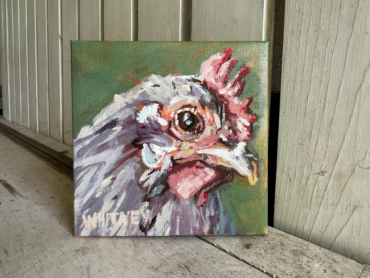 Phyllis- 6x6”