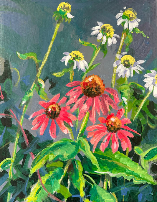 Coneflowers 11x14”